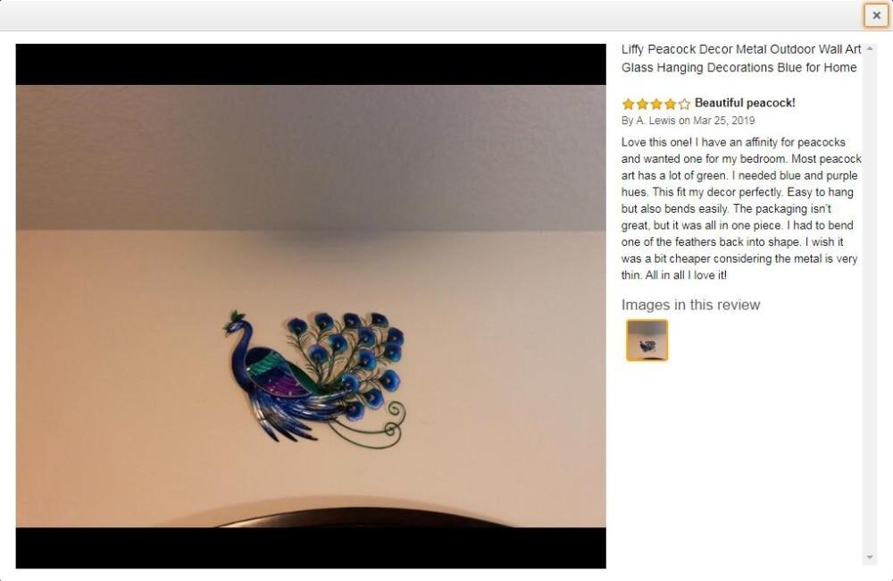 Metal Peacock-EchoDecor