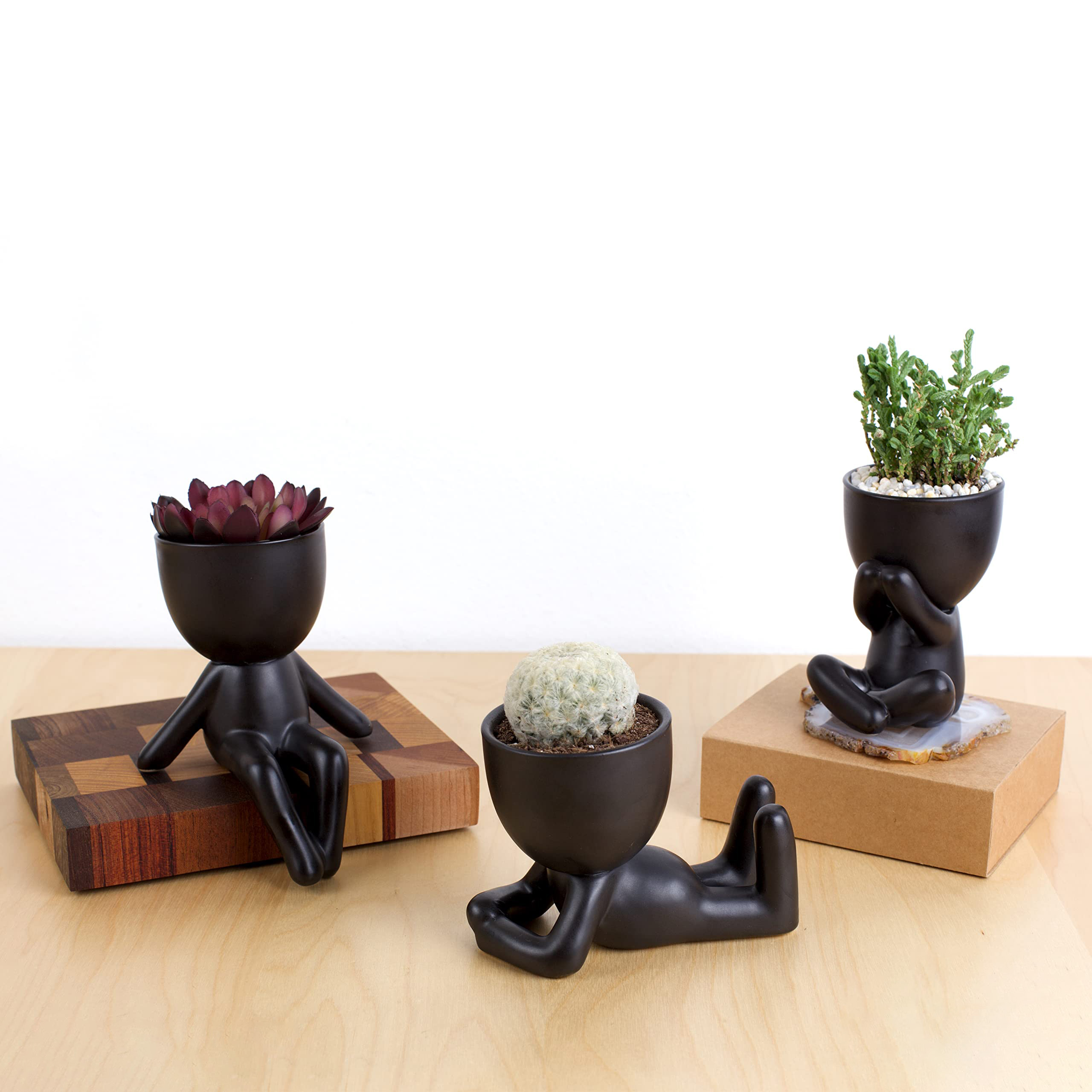 ✨Cute Decorations-🎍Small Decorative Pots for Plants-EchoDecor