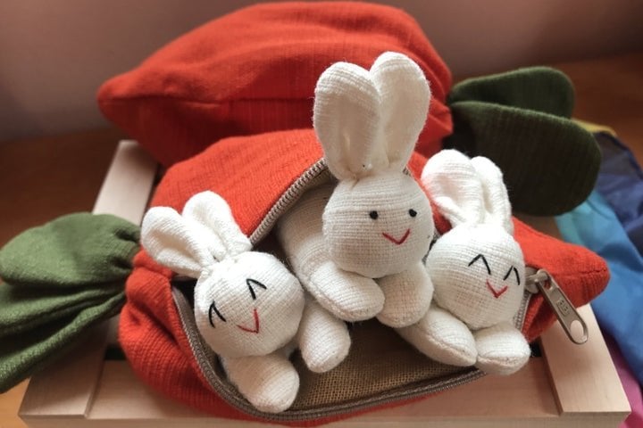 🎁Early Easter Sale🎁Hide-and-Seek Bunnies in Carrot Pouch-EchoDecor