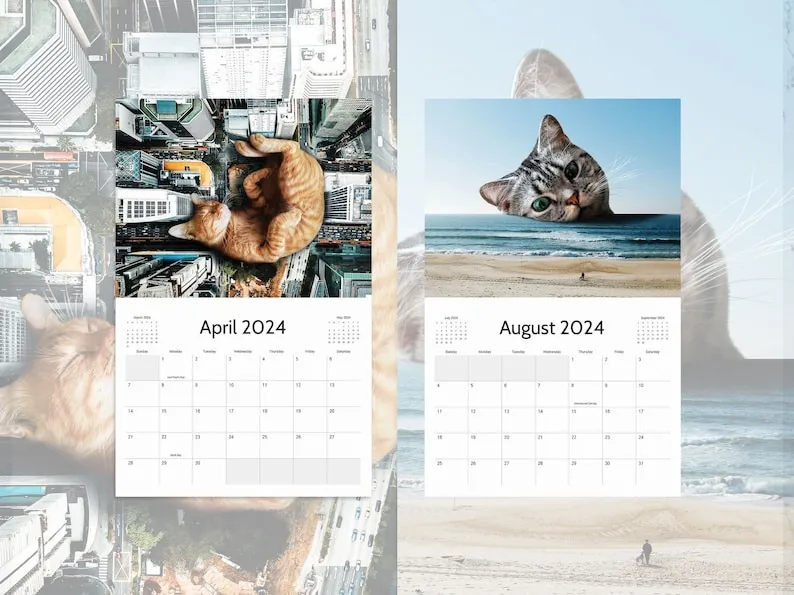 2024 LAZY CAT CALENDAR🤣