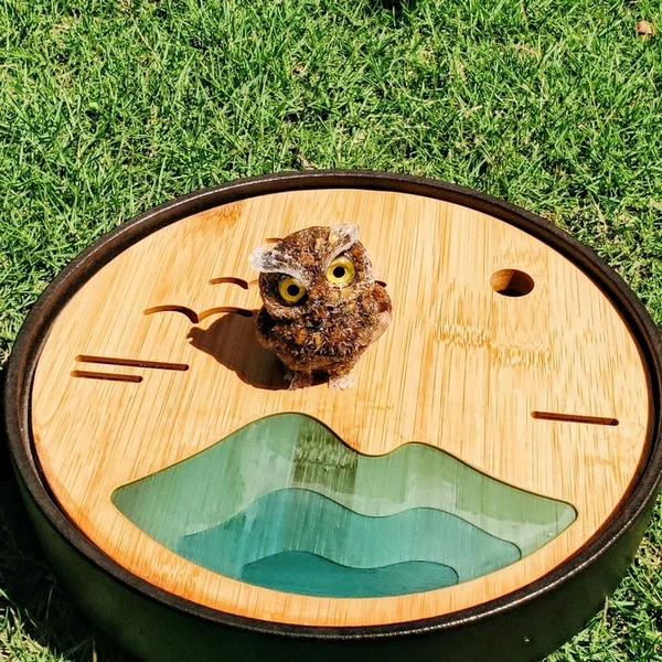 ✨Natural Crystal Gemstone Owl🦉Cute Decoration🥰-EchoDecor
