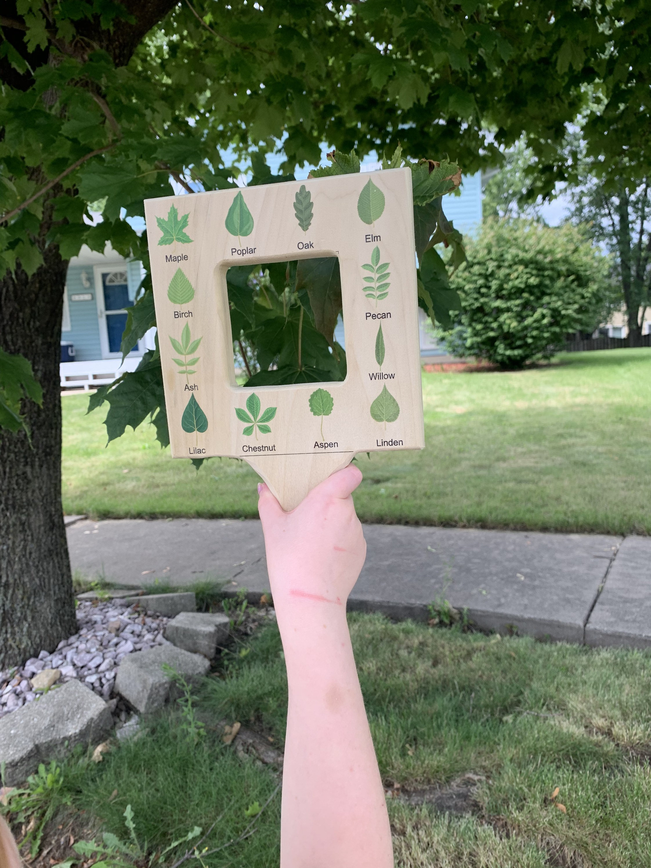 🎁Best Gift For Kids-Nature Guide Finder 50% OFF-EchoDecor