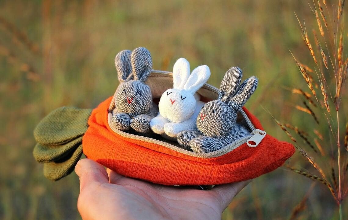 🎁Early Easter Sale🎁Hide-and-Seek Bunnies in Carrot Pouch-EchoDecor