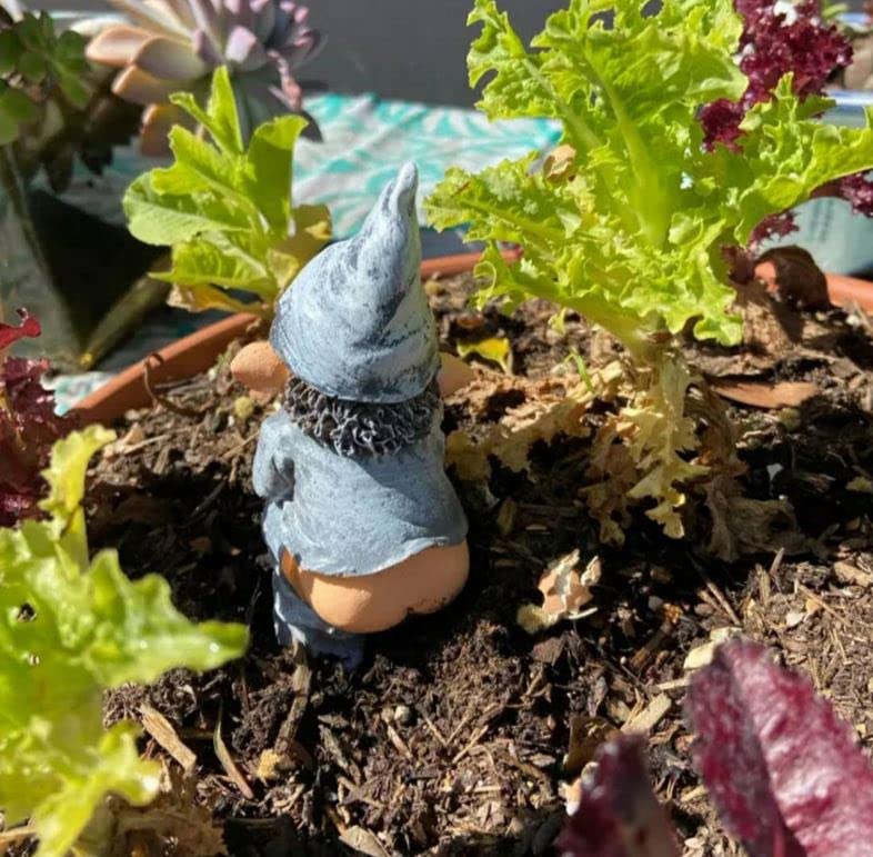 ( 🔥HOT SALE ) Funny Outdoors Garden Decoration -EchoDecor