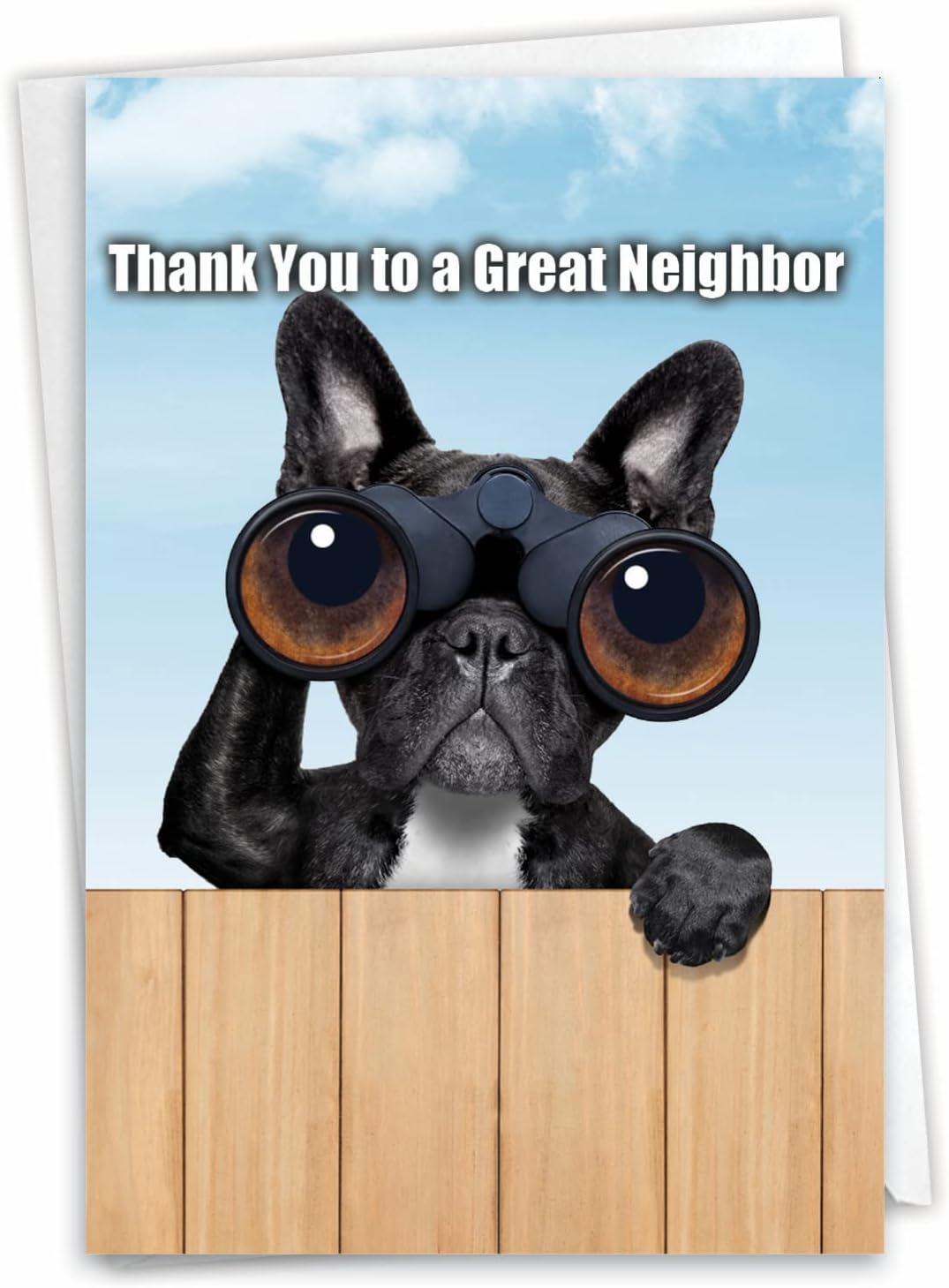 🤣Humorous Thank You Greeting Card