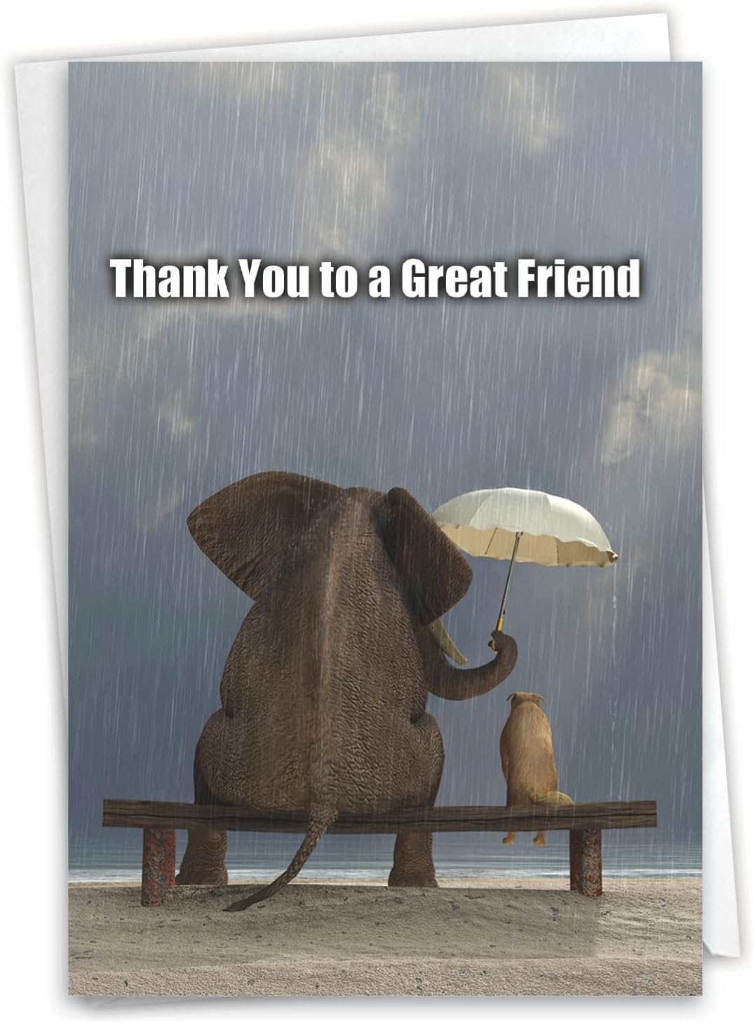 🤣Humorous Thank You Greeting Card