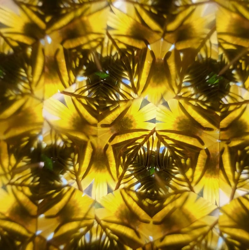 🔥The Best Gift——Natural Wood Kaleidoscope-EchoDecor