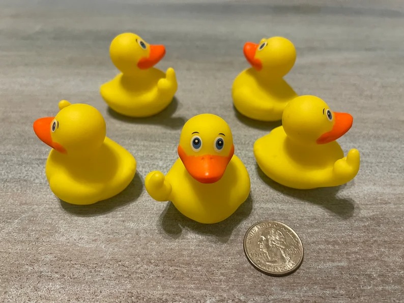 🦆FUCKTOPUS RUDE DUCKS-EchoDecor