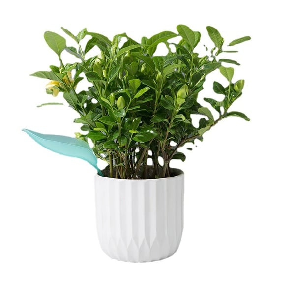 🔥Summer Hot Sale🔥Watering Leaves（BUY 5 GET 5 FREE）-EchoDecor