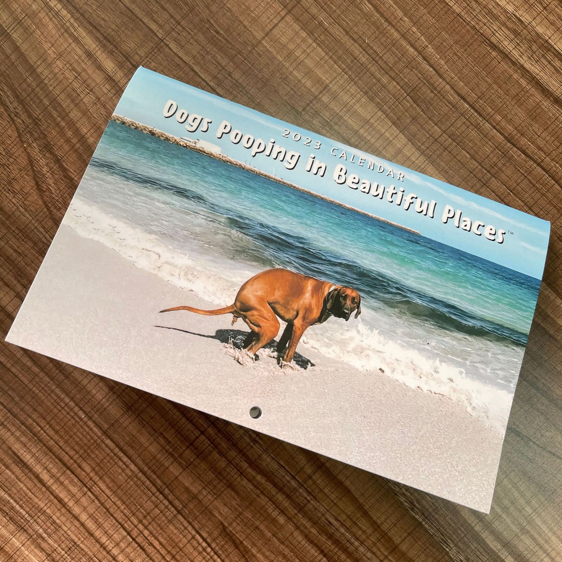 🤣Dogs Pooping in Beautiful Places 2023 Calendar