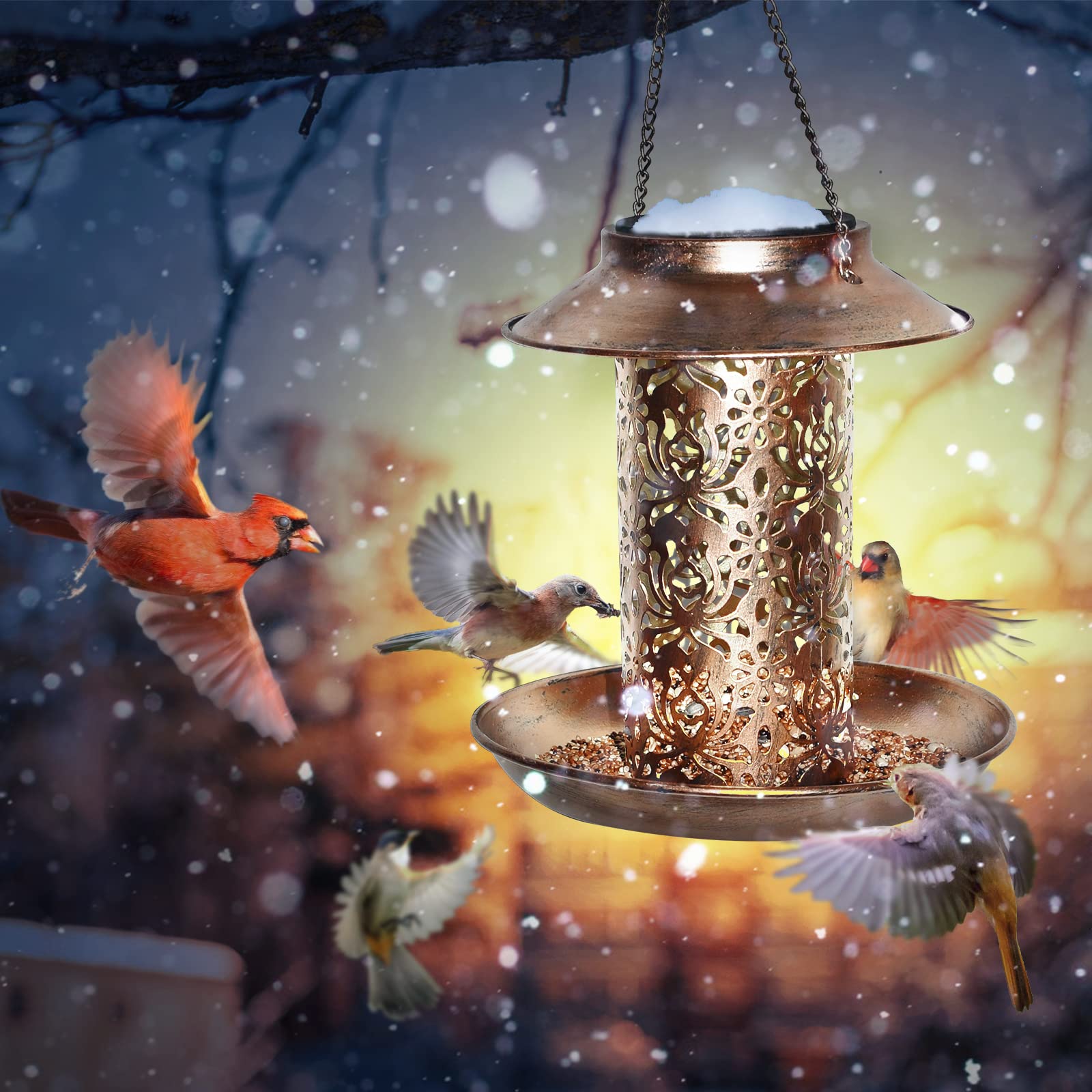  Solar Bird Feeder for Outdoors Hanging-EchoDecor