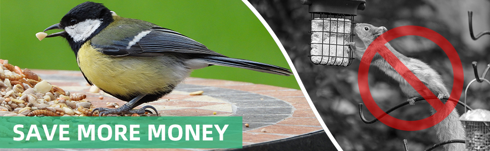 Save More Money Stop Wasting Seed