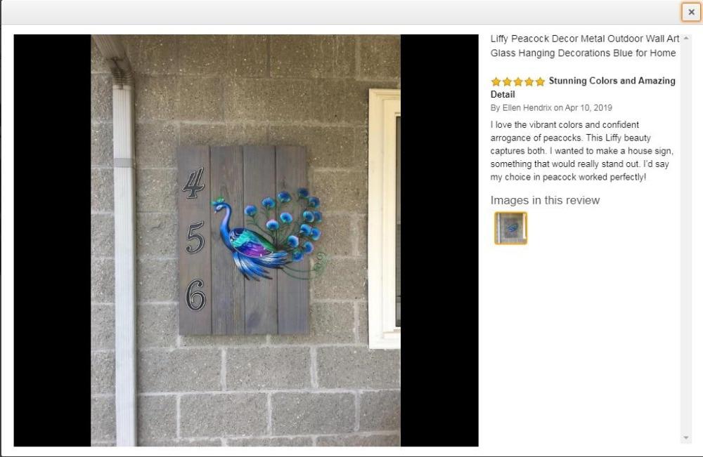 Metal Peacock-EchoDecor