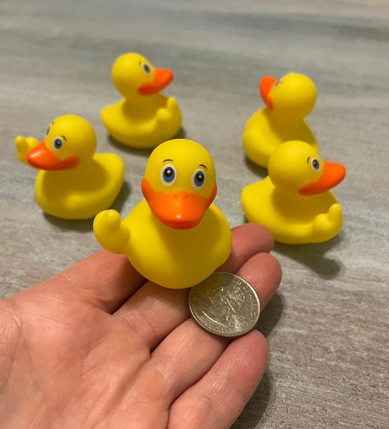 🦆FUCKTOPUS RUDE DUCKS-EchoDecor