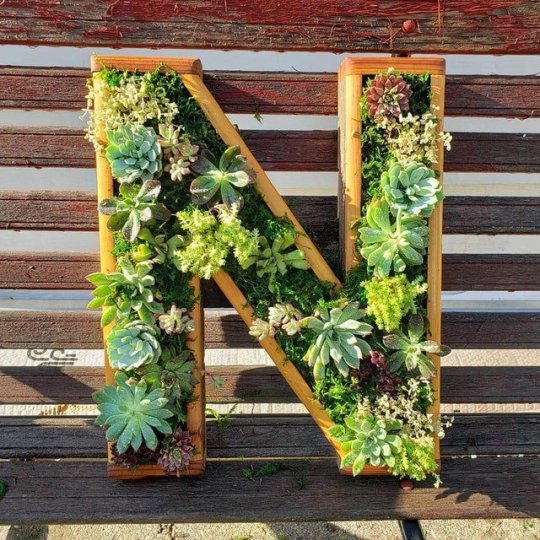 😍Wooden letter wall decoration,succulent plant containers✨-EchoDecor