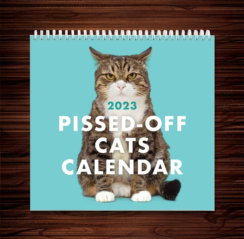 😾2023 Pissed-Off Cats Calendar
