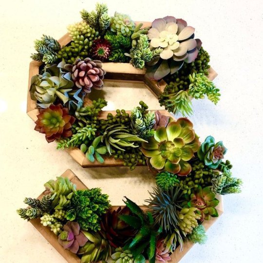😍Wooden letter wall decoration,succulent plant containers✨-EchoDecor
