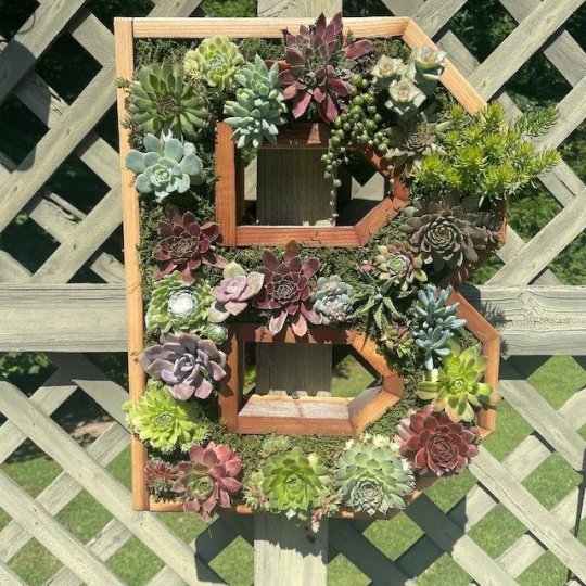 😍Wooden letter wall decoration,succulent plant containers✨-EchoDecor