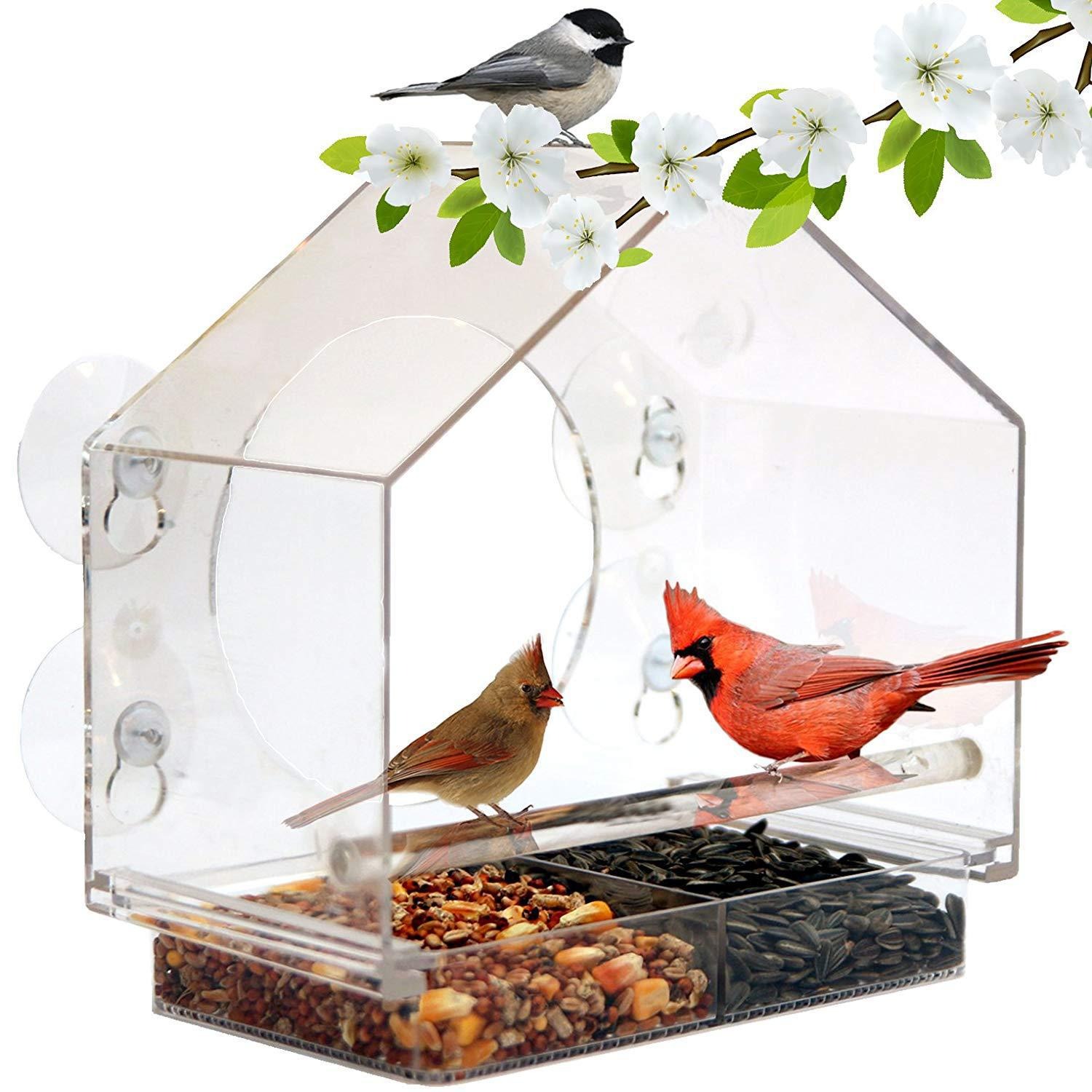 Window Bird Feeder for Outside-EchoDecor