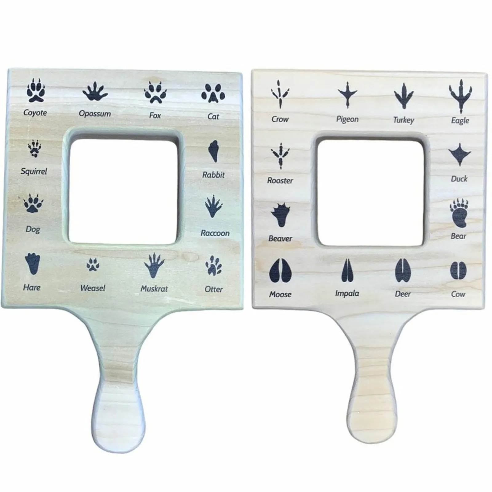 🎁Best Gift For Kids-Nature Guide Finder-EchoDecor