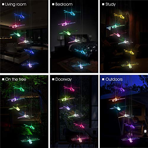 Solar-Powered Dragonfly Lights-EchoDecor