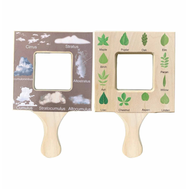 🎁Best Gift For Kids-Nature Guide Finder 50% OFF-EchoDecor