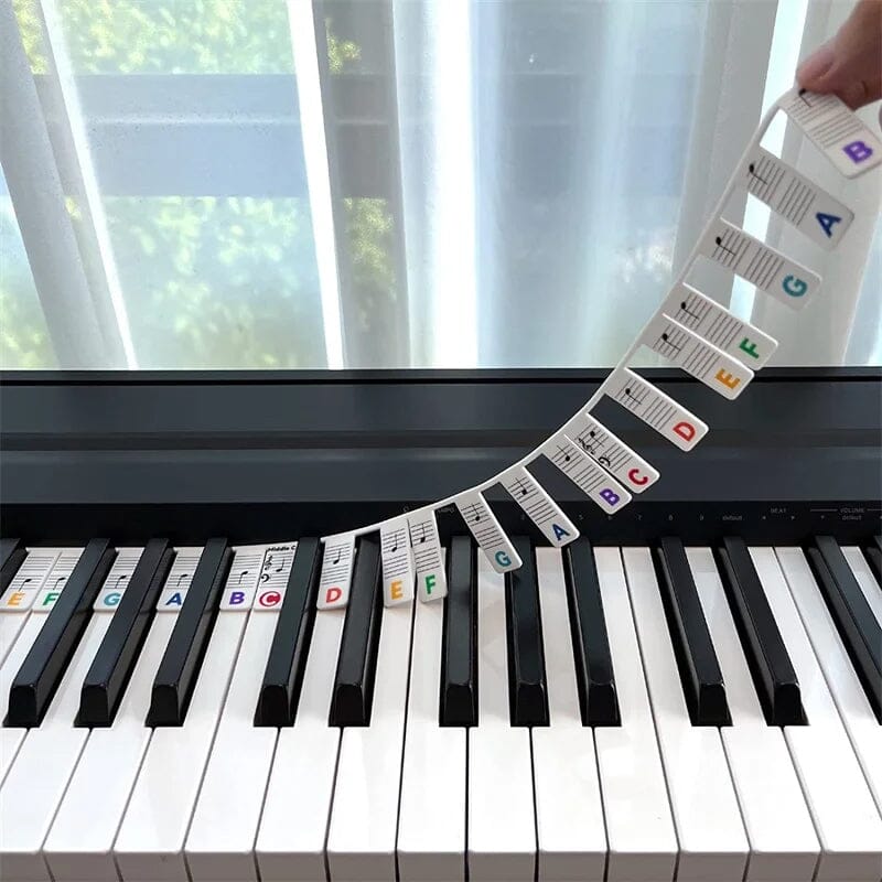 Removable Piano Keyboard Note Labels-EchoDecor