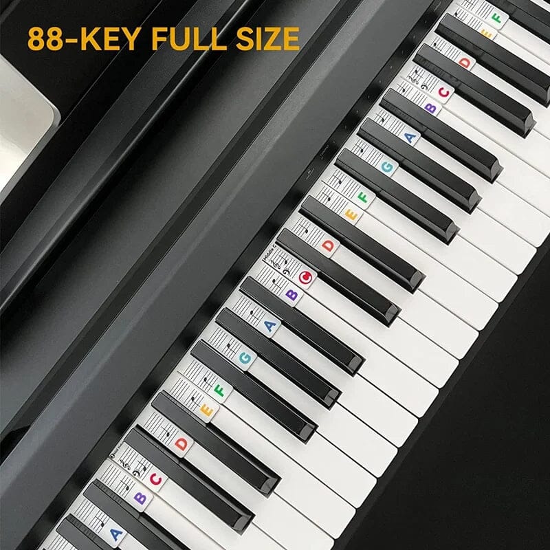 Removable Piano Keyboard Note Labels-EchoDecor