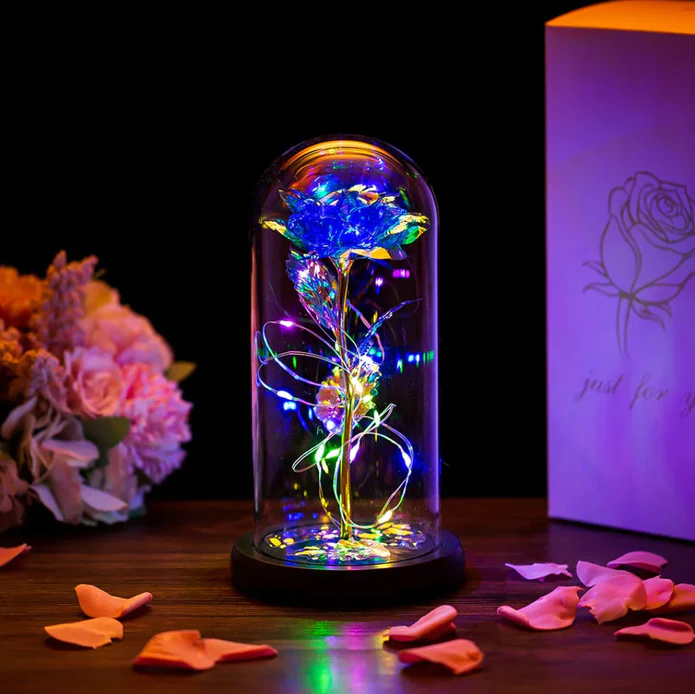 🎁Valentine's Day Gift🎁-Galaxy Rose in Dome❤️-EchoDecor