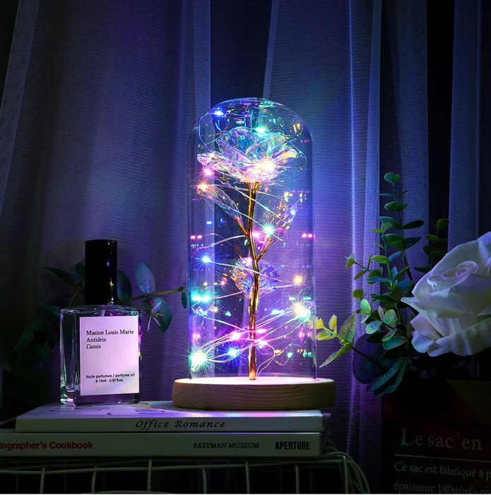 🎁Valentine's Day Gift🎁-Galaxy Rose in Dome❤️-EchoDecor