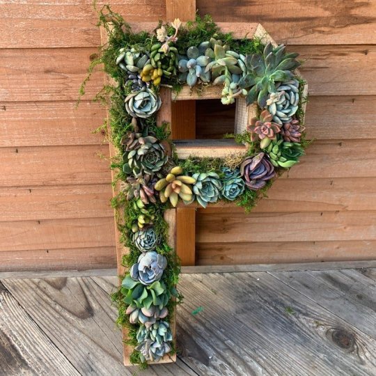 😍Wooden letter wall decoration,succulent plant containers✨-EchoDecor