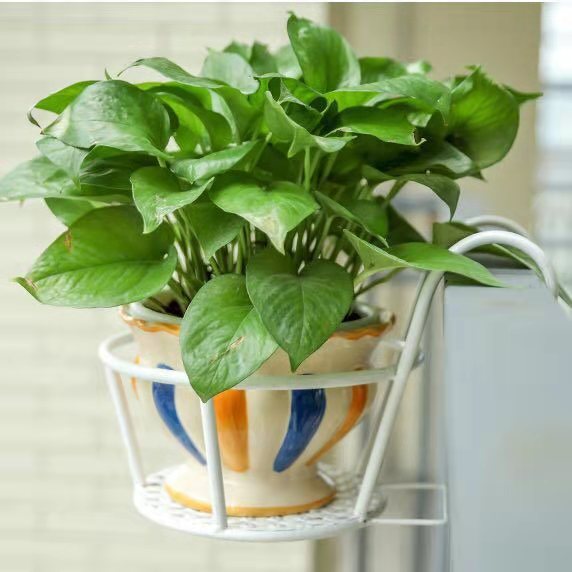 ☘️Hanging flower stand-EchoDecor