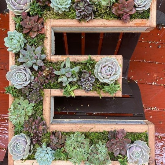 😍Wooden letter wall decoration,succulent plant containers✨-EchoDecor