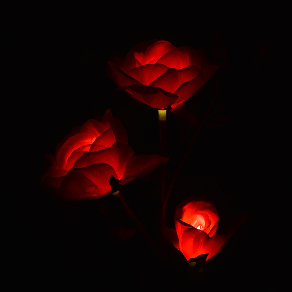 🌹 Solar Powered LED Rose Stake-EchoDecor