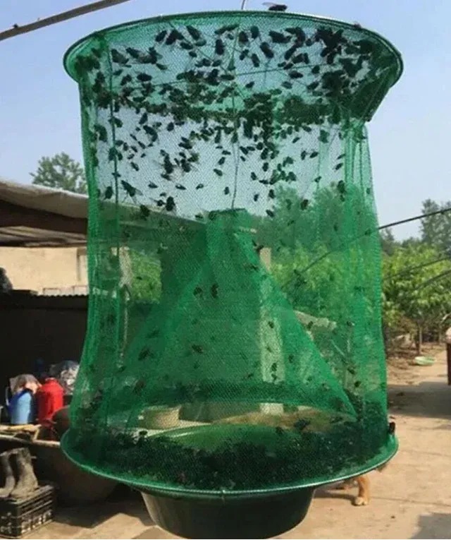 FAST FLY CATCHER™ - 100% NON TOXIC - REUSABLE-EchoDecor