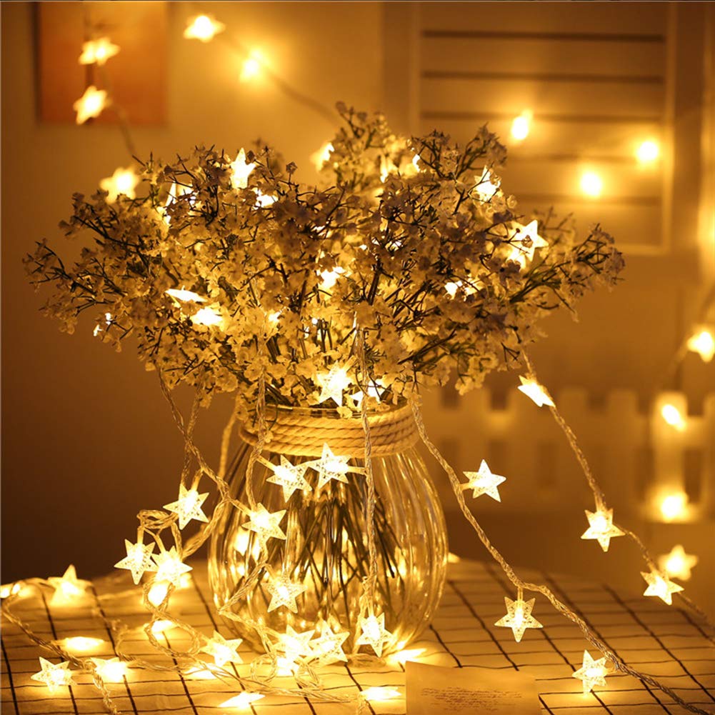 100 LED Star String Holiday Light-EchoDecor