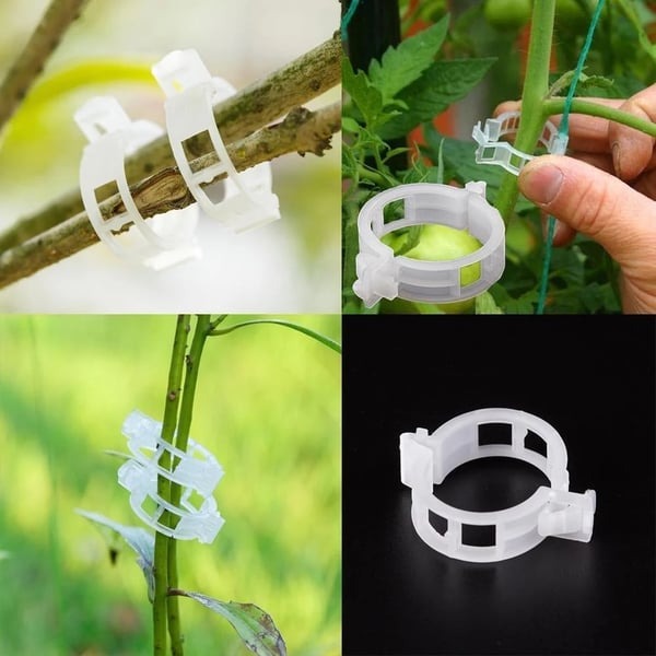 🥦Plant Support Clips-EchoDecor