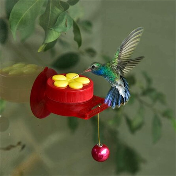 Handheld Mini Hummingbird Hand Feeder-EchoDecor