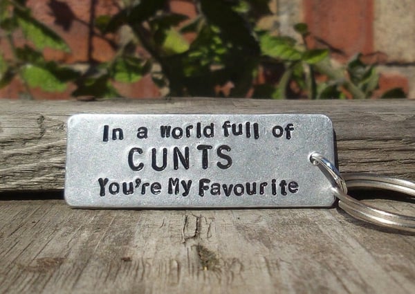 🎁Best Gifts✨- In A World Full of CUNTS You're My FAVOURITE Funny Gifts-EchoDecor