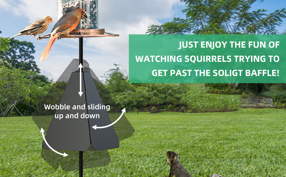 Ingenious wobble Squirrel Baffle