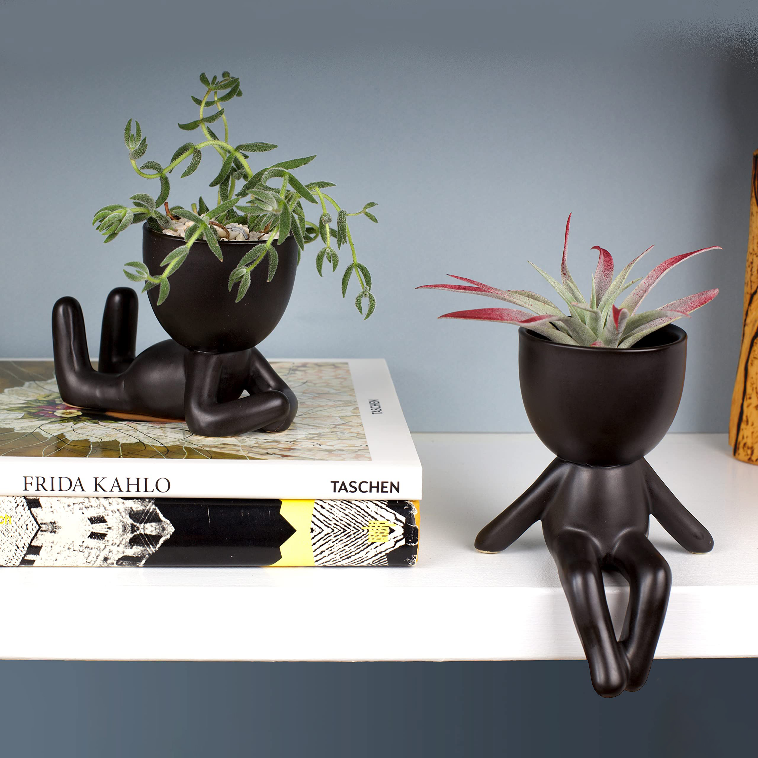 ✨Cute Decorations-🎍Small Decorative Pots for Plants-EchoDecor