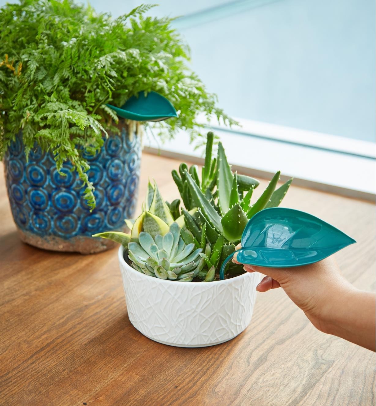 🔥Summer Hot Sale🔥Watering Leaves（BUY 5 GET 5 FREE）-EchoDecor