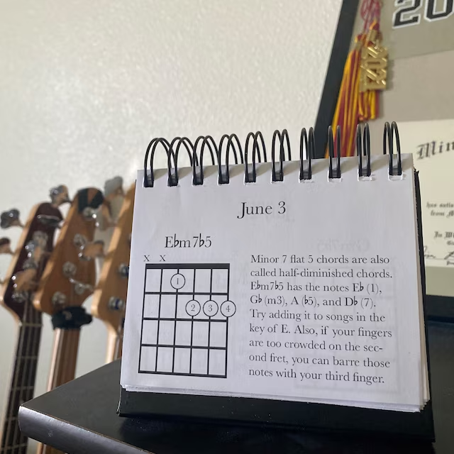 ✨Special Gift-🎸-365 Days Guitar Chords Calendar📅-EchoDecor
