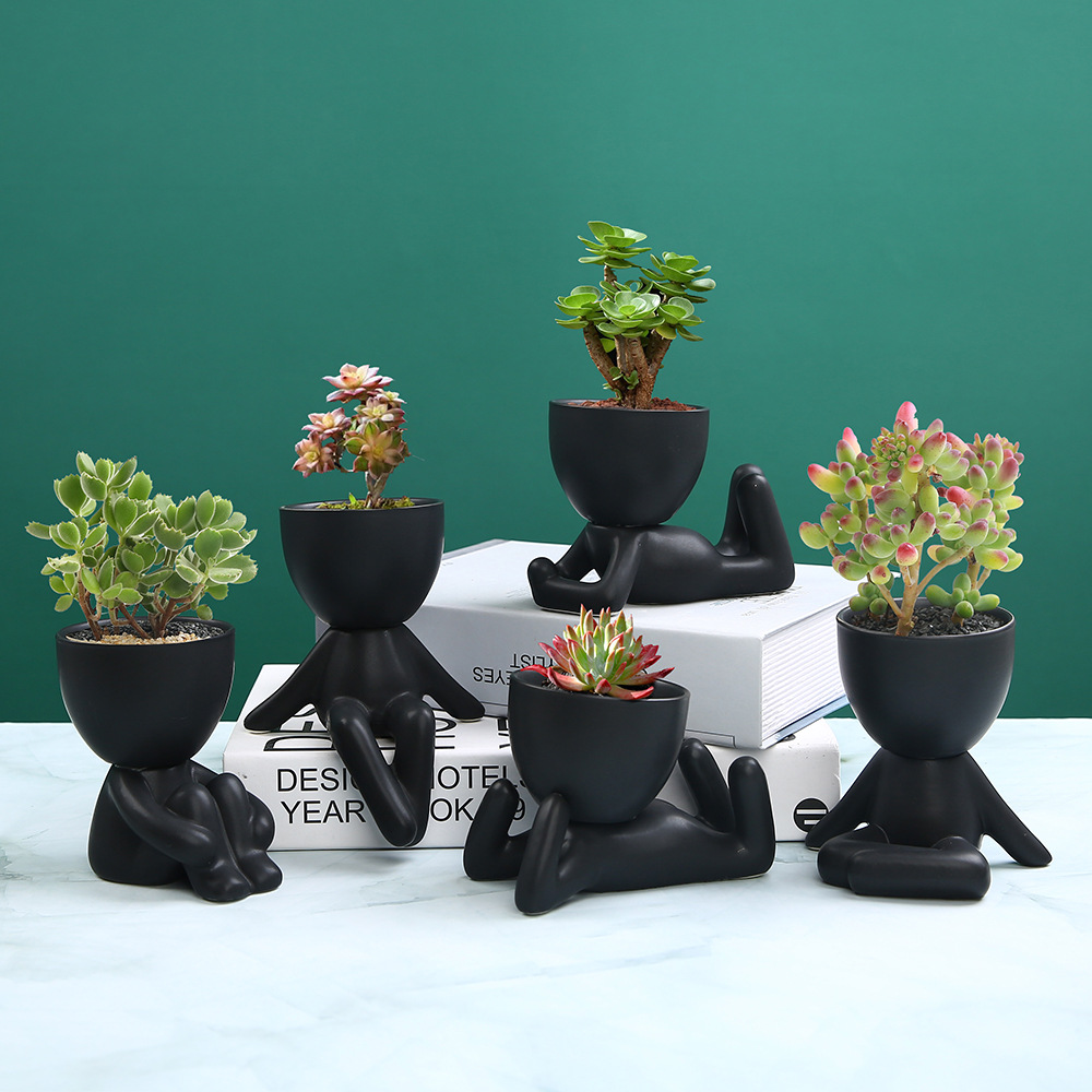 ✨Cute Decorations-🎍Small Decorative Pots for Plants-EchoDecor