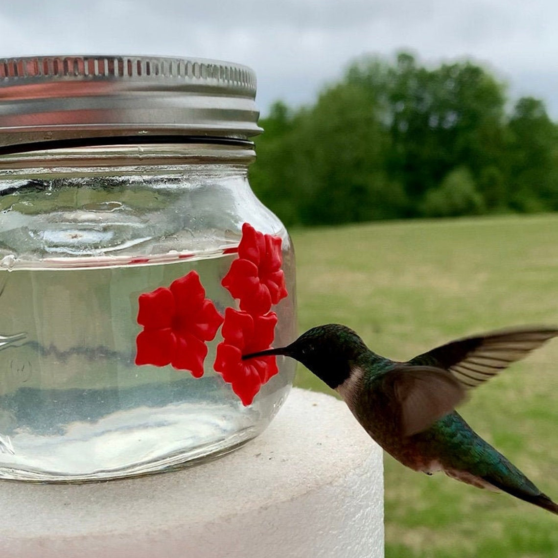 Mason Jar Hummingbird Feeder ដ៏ស្រស់ស្អាត W/Three Ports