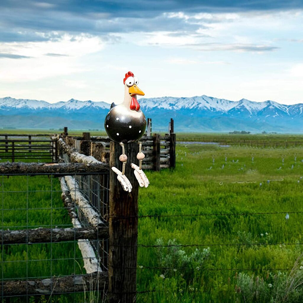 🔥HOT SALE 50% OFF🔥Funny decorative chicken -EchoDecor