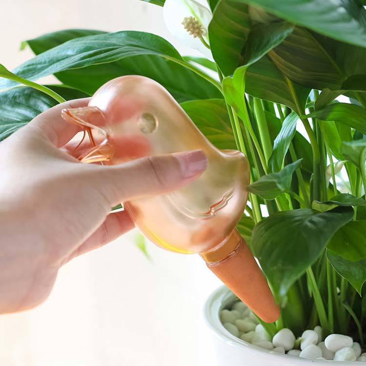 🔥Hot Sale 48% off🔥Bird Watering Kettle🐦-EchoDecor