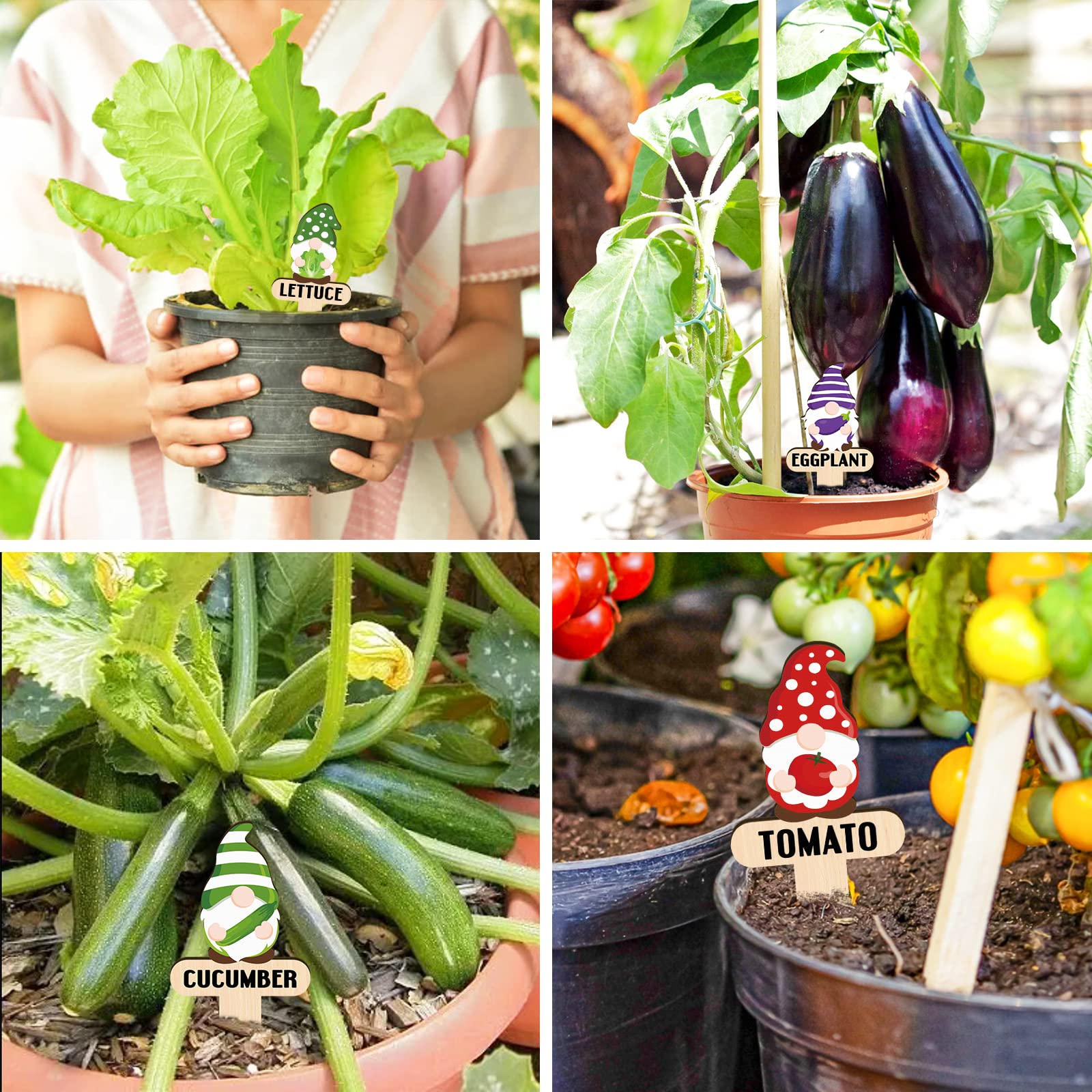 30 Pieces Gnome Wooden Plant Markers(Buy 2 Free Shipping, ($0.77 / Count))-EchoDecor