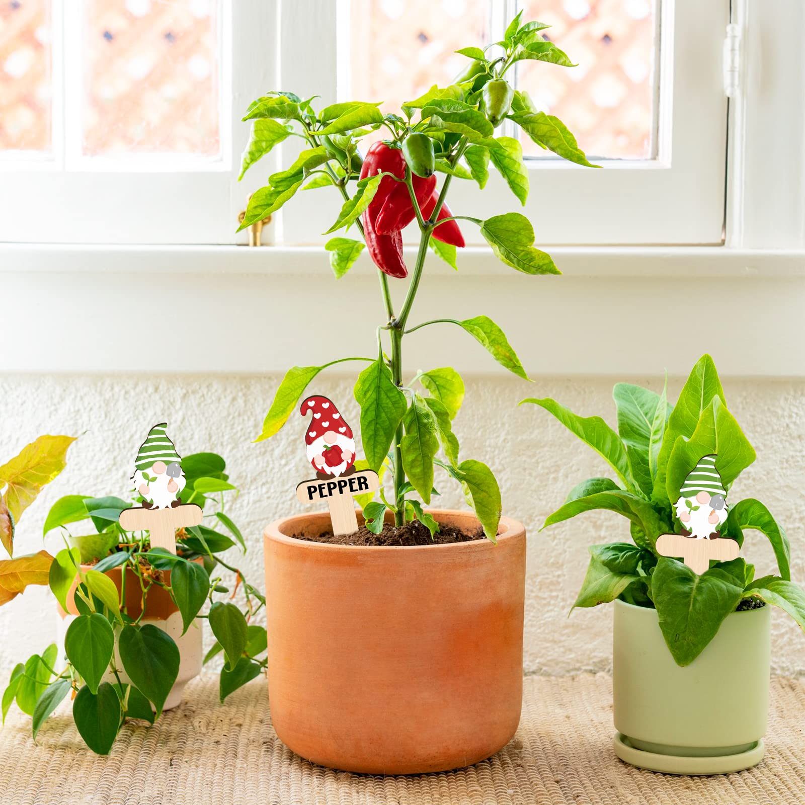 30 Pieces Gnome Wooden Plant Markers(Buy 2 Free Shipping, ($0.77 / Count))-EchoDecor
