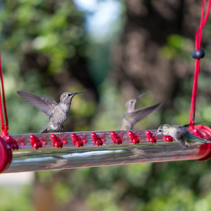 🎉2023 NEW YEAR Hot Sale - Flower Bar Hummingbird Feeder